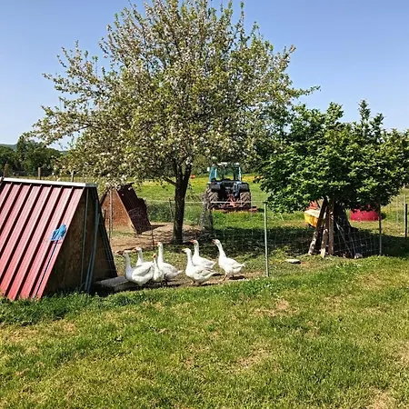 I Due Mondi Apartmanhotel